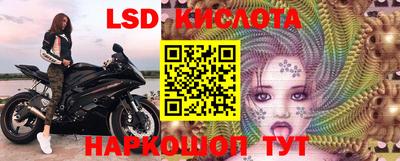 сатива Бердск